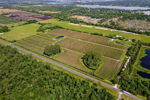 Land in Mount Dora, Florida № 2408403 - photo 4