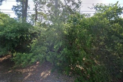 Land in North Port, Florida № 2166497