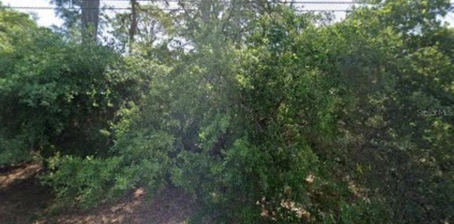 Land in North Port, Florida № 2166497