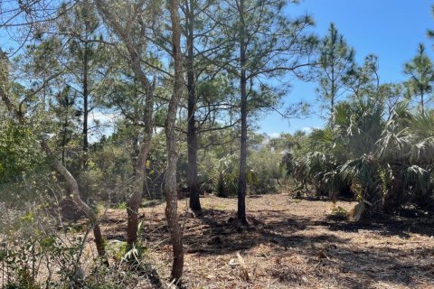 Land in Panama City Beach, Florida № 558285 - photo 1