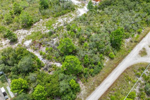 Land in Sebring, Florida № 2162559 - photo 21