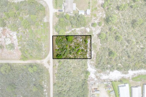 Land in Sebring, Florida № 2162559 - photo 5