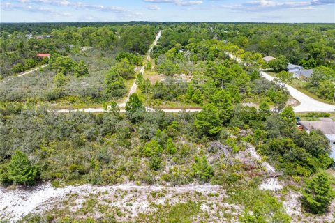 Land in Sebring, Florida № 2162559 - photo 14