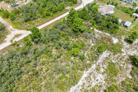 Land in Sebring, Florida № 2162559 - photo 18