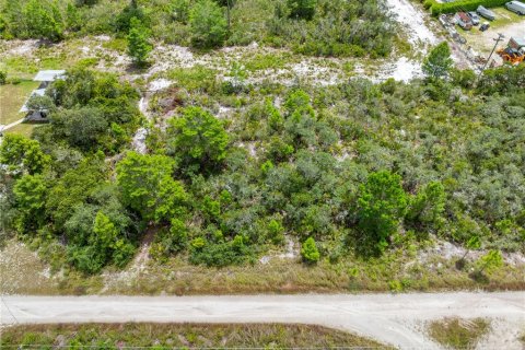 Land in Sebring, Florida № 2162559 - photo 17