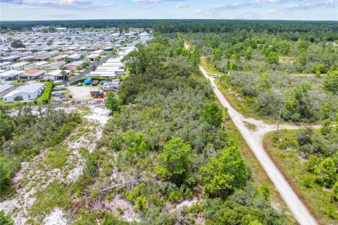 Land in Sebring, Florida № 2162559 - photo 23