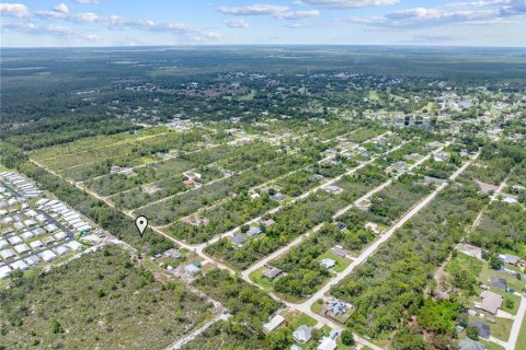 Land in Sebring, Florida № 2162559 - photo 25