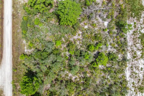 Land in Sebring, Florida № 2162559 - photo 27