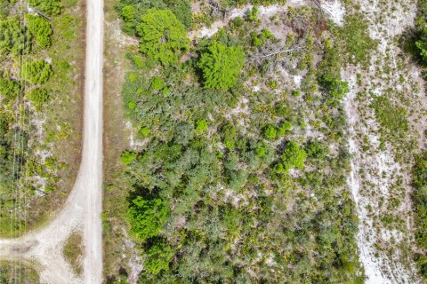 Land in Sebring, Florida № 2162559 - photo 28