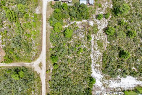 Land in Sebring, Florida № 2162559 - photo 16