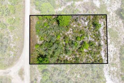 Land in Sebring, Florida № 2162559 - photo 4