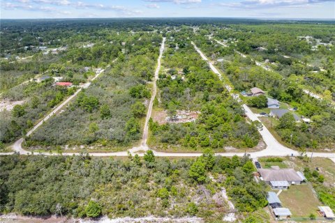 Land in Sebring, Florida № 2162559 - photo 30