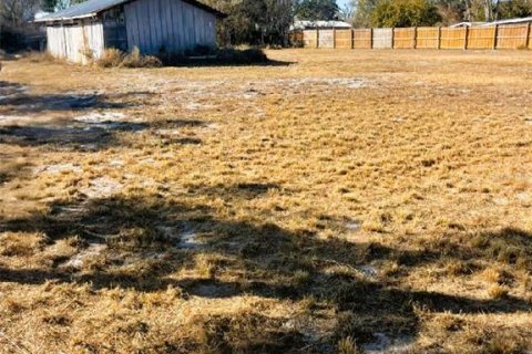 Terreno en venta en Frostproof, Florida № 2095134 - foto 6