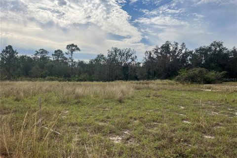 Land in Sebring, Florida № 1750640 - photo 3