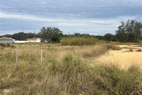 Land in Sebring, Florida № 1750640 - photo 6