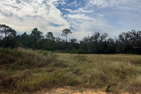Land in Sebring, Florida № 1750640 - photo 10