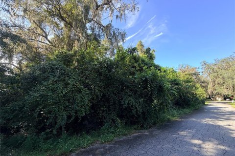 Land in Floral City, Florida № 2393567 - photo 4