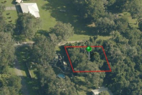 Land in Floral City, Florida № 2393567
