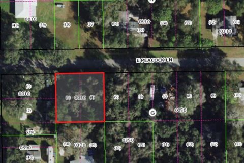 Land in Floral City, Florida № 2393567 - photo 2