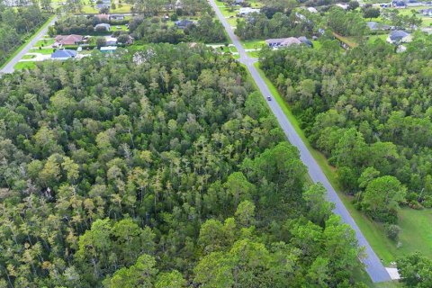 Land in Orlando, Florida № 1917168 - photo 11