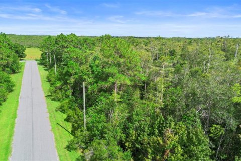 Land in Orlando, Florida № 1917168 - photo 8