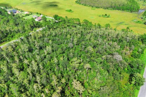 Land in Orlando, Florida № 1917168 - photo 16