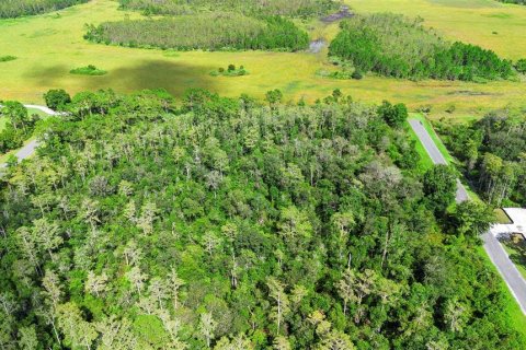 Land in Orlando, Florida № 1917168 - photo 3