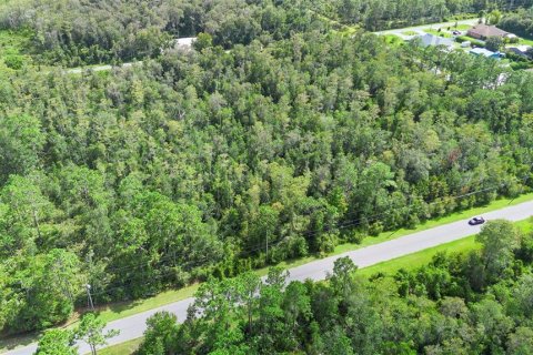 Land in Orlando, Florida № 1917168 - photo 9