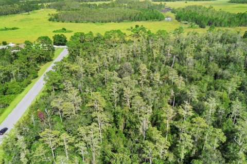 Land in Orlando, Florida № 1917168 - photo 7