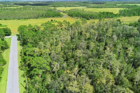 Land in Orlando, Florida № 1917168 - photo 6