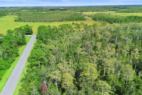 Land in Orlando, Florida № 1917168 - photo 5