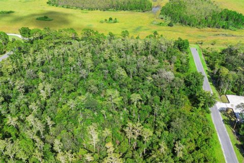Land in Orlando, Florida № 1917168 - photo 2