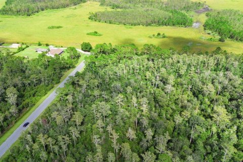 Land in Orlando, Florida № 1917168 - photo 4