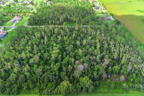 Land in Orlando, Florida № 1917168 - photo 14