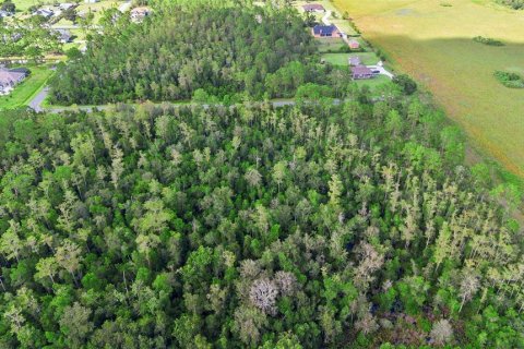 Land in Orlando, Florida № 1917168 - photo 13