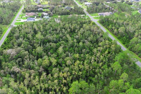 Land in Orlando, Florida № 1917168 - photo 12