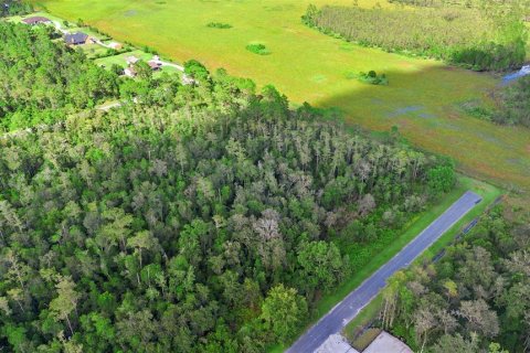 Land in Orlando, Florida № 1917168 - photo 15