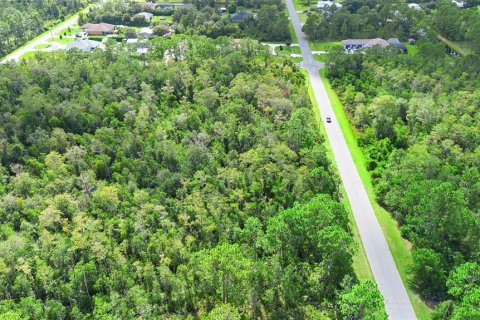 Land in Orlando, Florida № 1917168 - photo 10