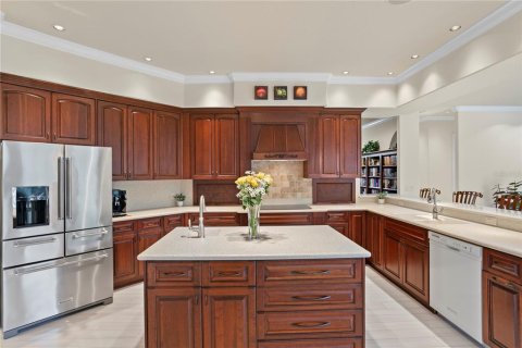 Villa ou maison à vendre à Lutz, Floride: 4 chambres, 429.21 m2 № 1725165 - photo 17