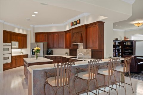 Villa ou maison à vendre à Lutz, Floride: 4 chambres, 429.21 m2 № 1725165 - photo 16