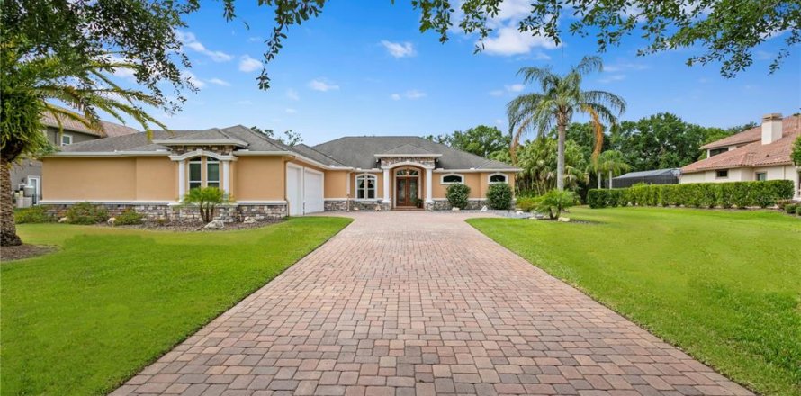 Villa ou maison à Lutz, Floride 4 chambres, 429.21 m2 № 1725165