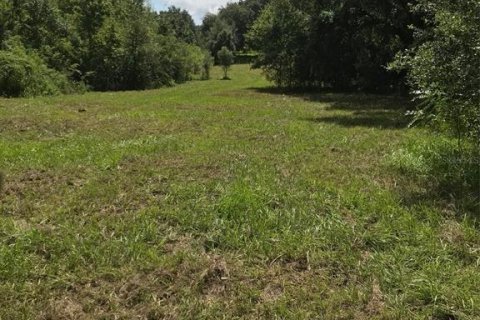 Terrain à Groveland, Floride № 2129725