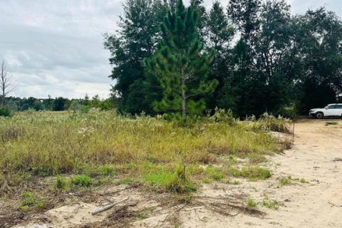 Terrain à vendre à Ocala, Floride № 2222495 - photo 4