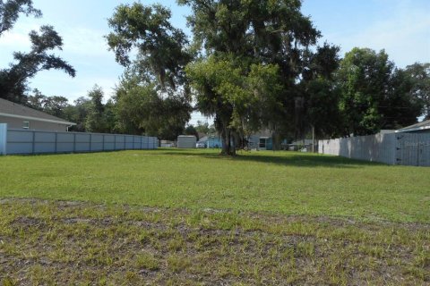 Terreno en Dunnellon, Florida № 2197509