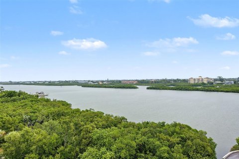 Copropriété à vendre à Indian Shores, Floride: 2 chambres, 122.63 m2 № 2408803 - photo 23