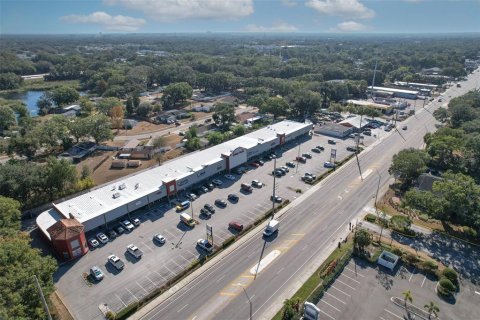 Immobilier commercial à louer à Tampa, Floride: 2952.16 m2 № 2166703 - photo 9