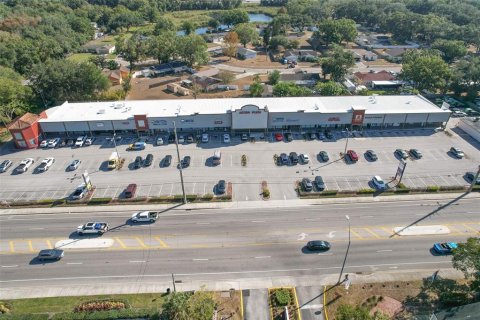 Immobilier commercial à louer à Tampa, Floride: 2952.16 m2 № 2166703 - photo 11