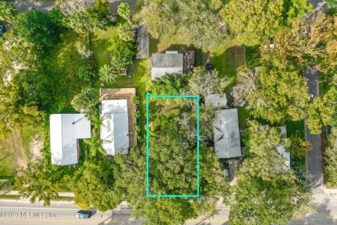 Land in Saint Augustine, Florida № 801261 - photo 1