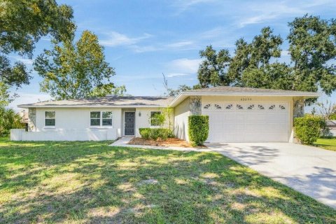 Villa ou maison à Land O' Lakes, Floride 3 chambres, 136.57 m2 № 2420545