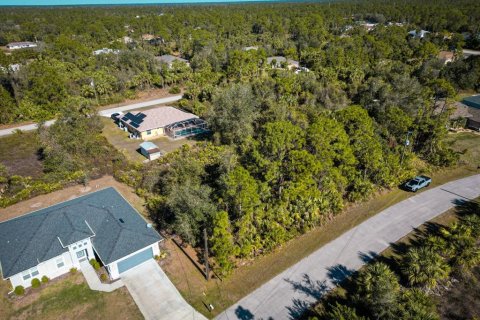 Land in North Port, Florida № 2165324 - photo 2
